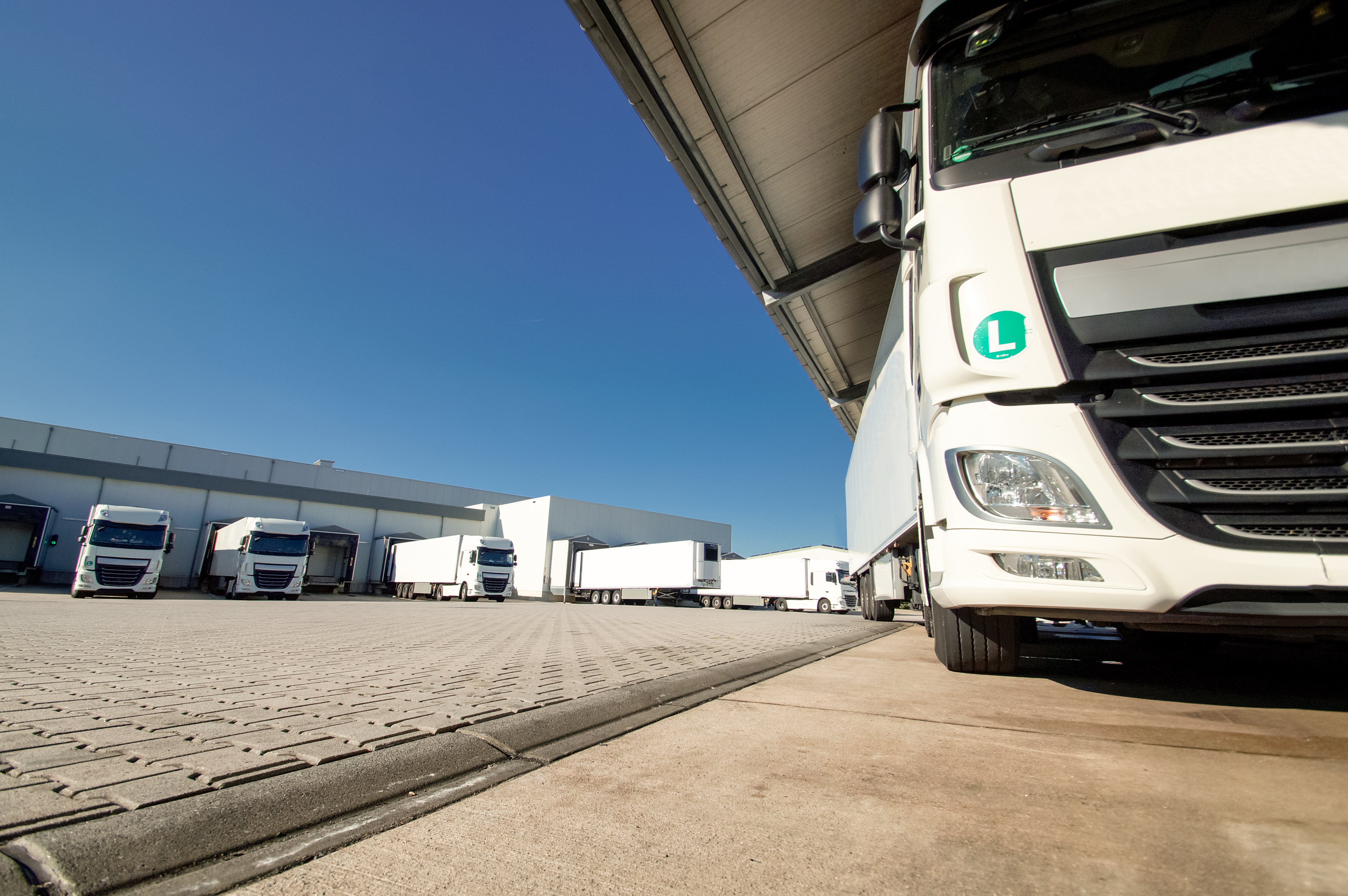 We deliver fresh meat in 36 hours, complete 100+ daily shipments, and handle over 3,500 tons of ADR cargo monthly. Reliable, scalable, and ready year-round.